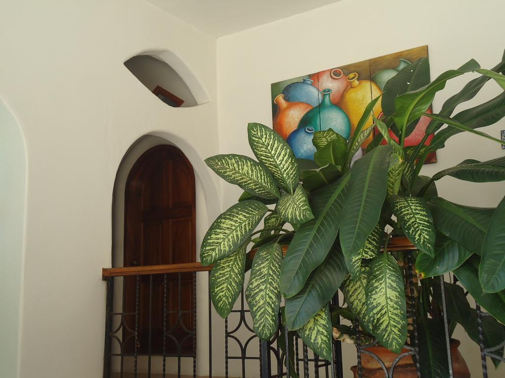 Hotel Cordelia'S Puerto Ángel Eksteriør bilde